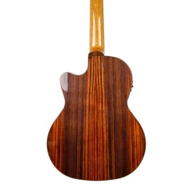 Kremona F65CW-7S VE | 7-String Classical Guitar with Fishman. New with Full Warranty! image 4