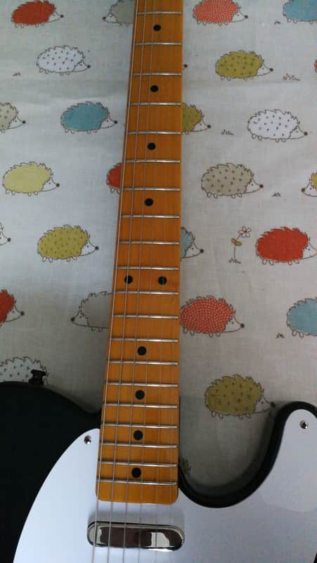 Tokai Breezysound image 1