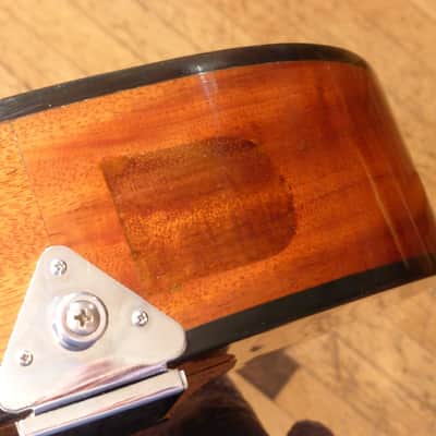 Fylde Mandola image 8