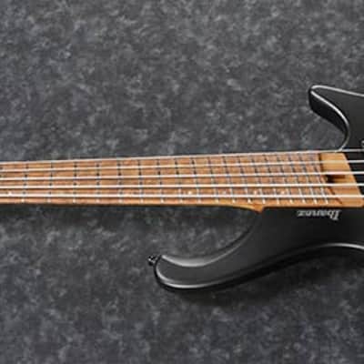 Ibanez Bass Workshop EHB1005MS BKF Black Flat 5-String Electric Bass Guitar + Gig Bag image 5