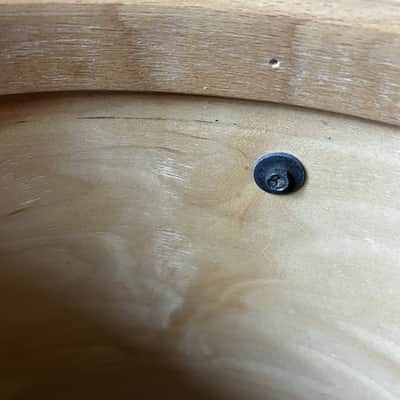 Premier Signia 14x14" Floortom - Cherry Wood image 16