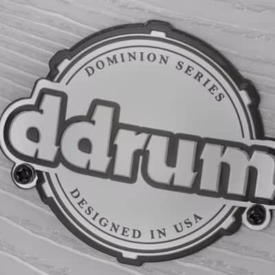DDRUM Dominion Birch 7x10 Paper White Rack Tom  DM B TT 7x10 PWB NEW image 3