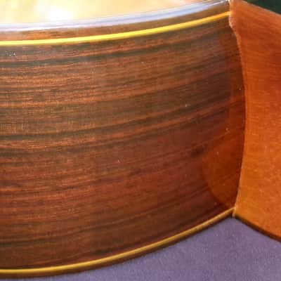 1975 Manuel G. Contreras (1st generation) Classical Guitar Calle Mayor 80, Madrid Cedar Top / Rosewood Body Original Hard Case image 16