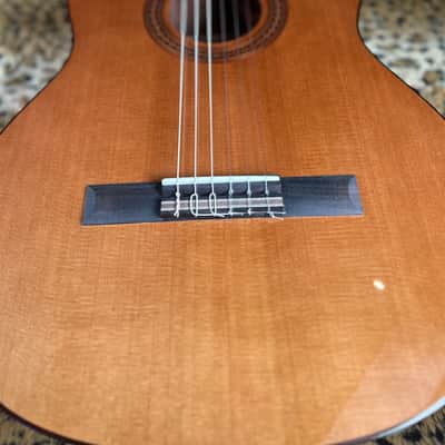 Cordoba C5-CE Classical with Electronics 2025 - Natural image 4