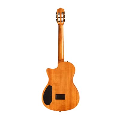 Cordoba Stage Nylon 6-String Electric Guitar with Gig Bag (Edge Burst) image 4