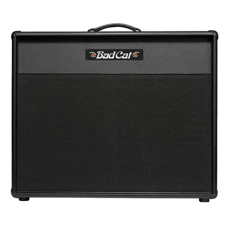 Bad Cat Era 30 2x12" Handwired Extention Cabinet w/ Celestion V30 Speakers image 1