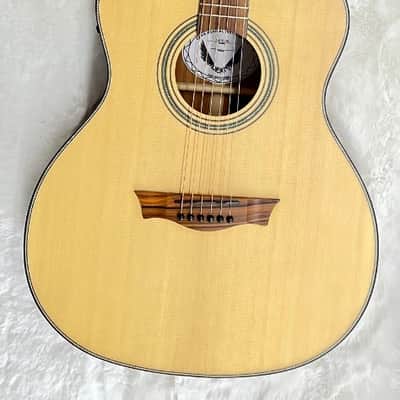 Dean 6 String St. Augustine Concert Solid Wood Acoustic Electric Guitar SACE SN image 1