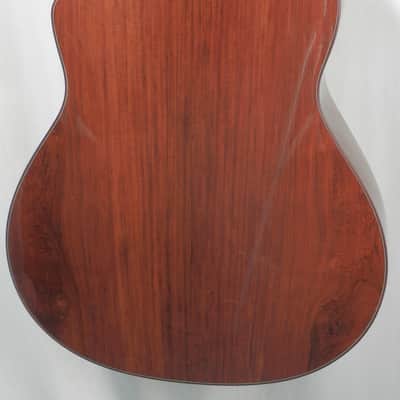 Larrivee Custom LV-10E Madagascar Rosewood Back & Sides, Moon Spruce Top, Dragon ,Vine-Vase Cutaway image 20