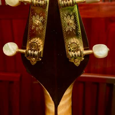 Gibson TB 5 Trapdoor Tenor Banjo Fully Restored image 14