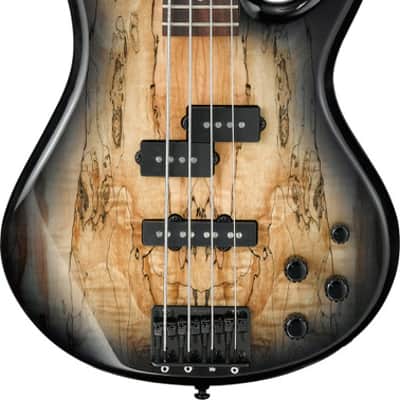 Ibanez Gio SR 4 String Electric Bass - Natural Gray Burst (GSR200SMNGT) image 2