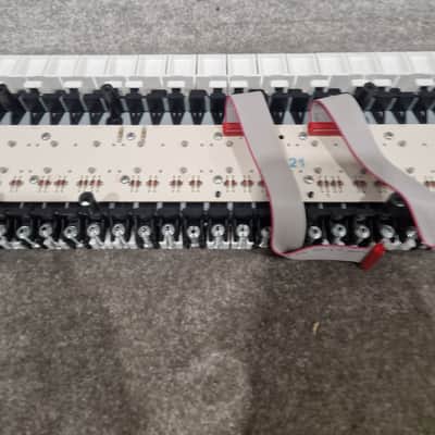 Original Keyboard For UDO Super 6 Synthesizer - Unused - Excellent w/ Original Box image 3