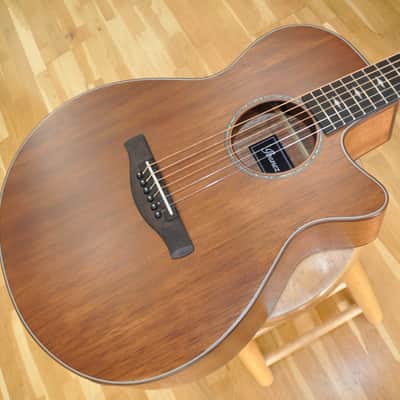 IBANEZ AEG220 LGS Natural Low Gloss / Acoustic-Electric AEG Compact Size / AEG220-LGS / CD221204926 image 1