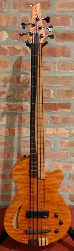 Veillette Paris Lined Fretless image 1