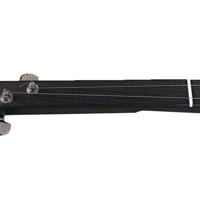 SOMA Laboratory DVINA Electro-Acoustic Stringed Instrument [DEMO] image 6