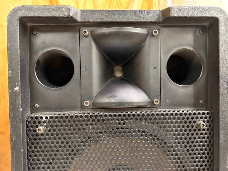 Panasonic Ramsa WS-A200 Speaker 12