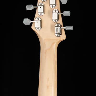 Paul Reed Smith Silver Sky John Mayer Signature Model Polar Blue image 13