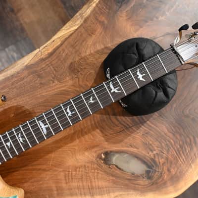 PRS Wood Library Custom 24 Piezo 10-Top Blue Fade #067 image 22