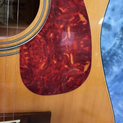 2000 Takamine Jasmine S-45 SK Acoustic Dreadnought Guitar Pro Setup New Strings Semi Hard Shell Case Bild 4