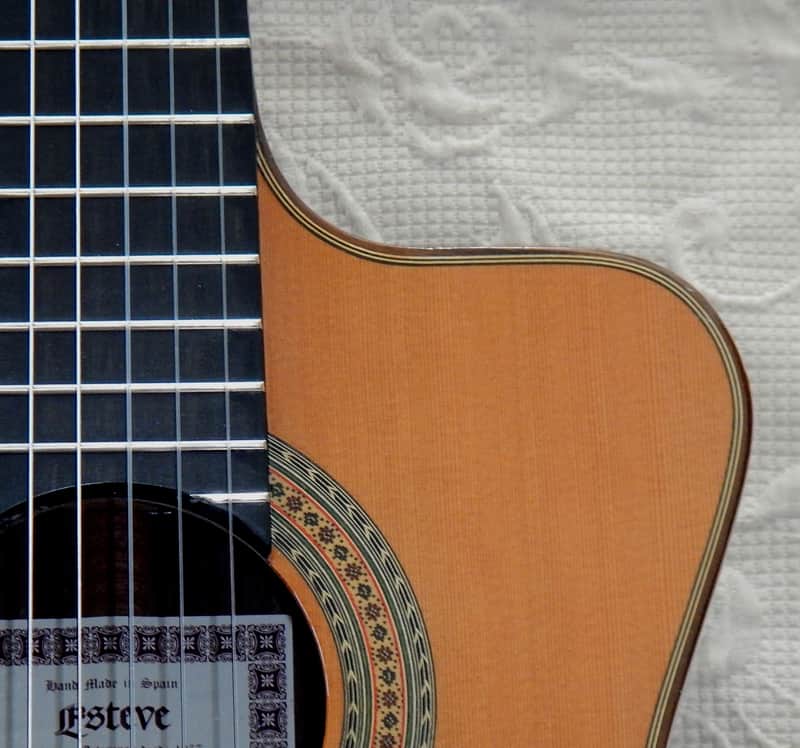 Esteve Alegria crossover cutaway / lattice braced / cedar top image 1