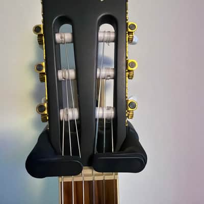 Ibanez AEG10NE Nylon Acoustic-Electric with Fishman Aura Pro Upgrade image 6