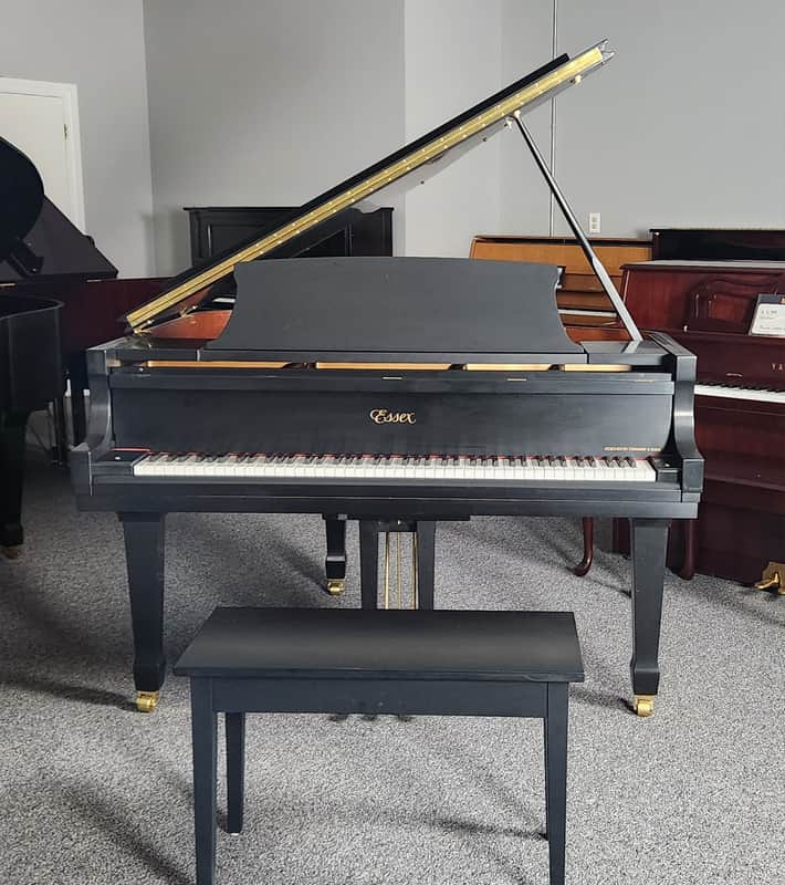 Essex EGP 155 in Satin Ebony 5'1