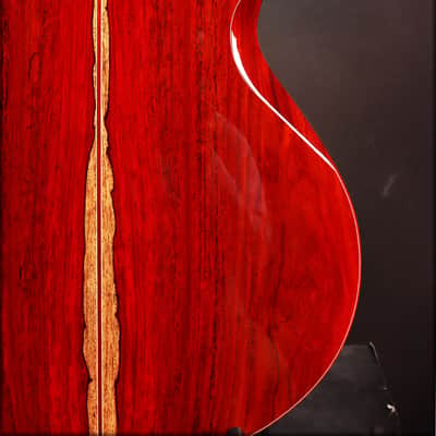 Furch Rainbow G DC Sinker Redwood Bevel Duo guitar in mint condition image 10
