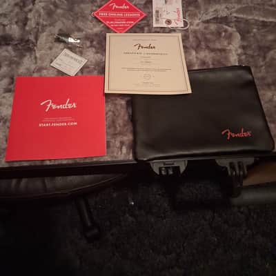 Fender American Professional Series Stratocaster image 11