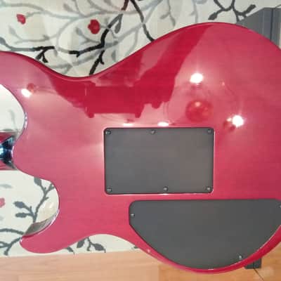 Caparison Angelus Ace signature red image 3