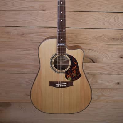 Maton The Australian EA80C 2024 - Blackwood/Spruce image 1