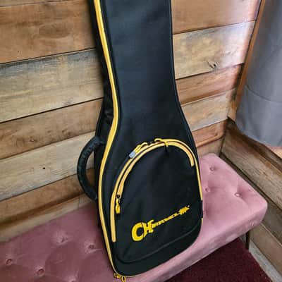 Charvel Pro-Mod Plus Dinky® DK24 HH 2PT E - Celestial Silk w/ Gig Bag image 21