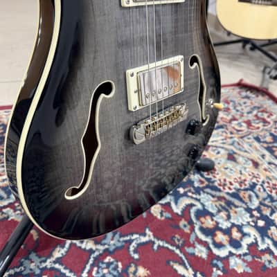 Immagine Paul Reed Smith PRS SE Hollowbody Standard Dog Hair Smokeburst - 4