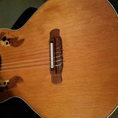 Ovation EA 63 Viper Nylon Electric Chambered Body Rare w/ HSC image 3