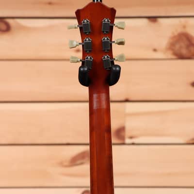 Eastman T64/v - Antique Goldburst-P2300710 image 10