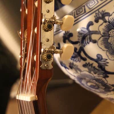 Yamaha G-228 late 70s to early 80s - gloss image 11