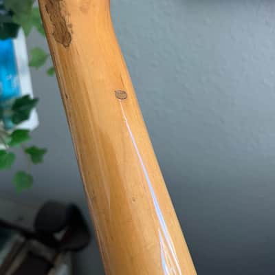 1974 Fender Precision Bass Sunburst Rosewood Board image 18