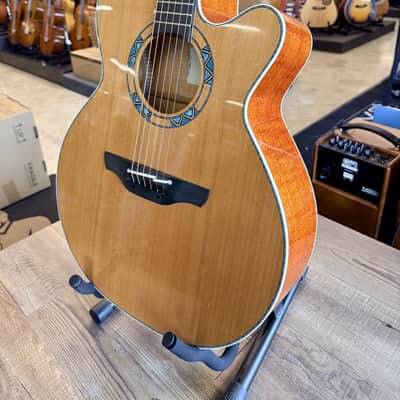 Takamine LTD 2023 SANTA FE 30TH ANN. + BORSA image 5