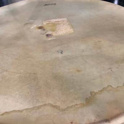 Slingerland Genuine Calf Calfskin Head 20" (#B) (RM3) image 3