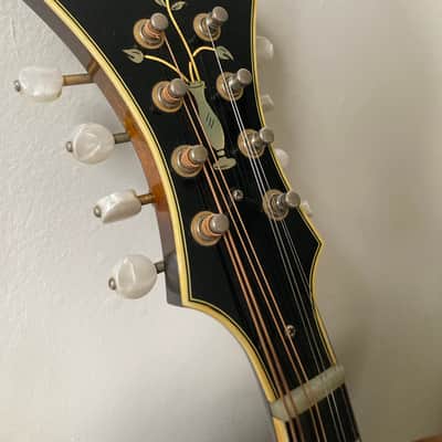 1983 Kentucky KM-Dawg (with video): Monteleone designed / Grisman endorsed / Sumi made image 3