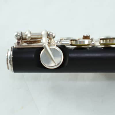 Braun Handmade Grenadilla Piccolo SN 410 OUTSTANDING image 7