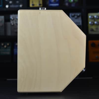 Mambo Amp 10" combo image 8