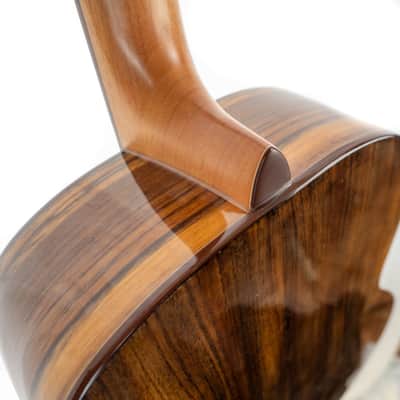 Washburn BTS9CH Bella Tono Novo S9 Studio Body Acoustic Guitar, Gloss Charcoal Burst image 12