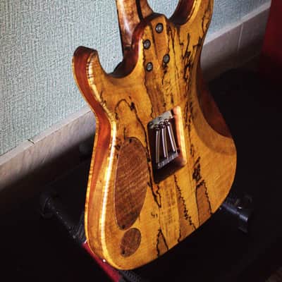 Bakat/Bhakatt Guitar Double Cut 2026 - Satin Polyurethane and oil image 18