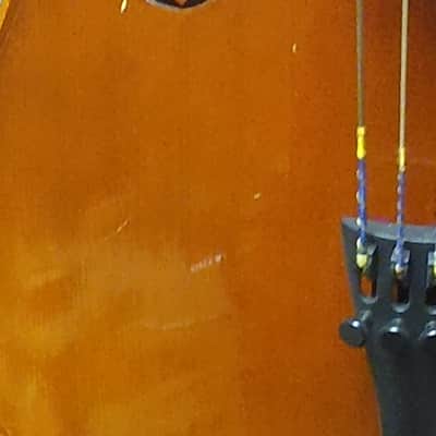 Black Mountain Strings C1000 1/4 Cello serial 453629 2013 - Natural image 8