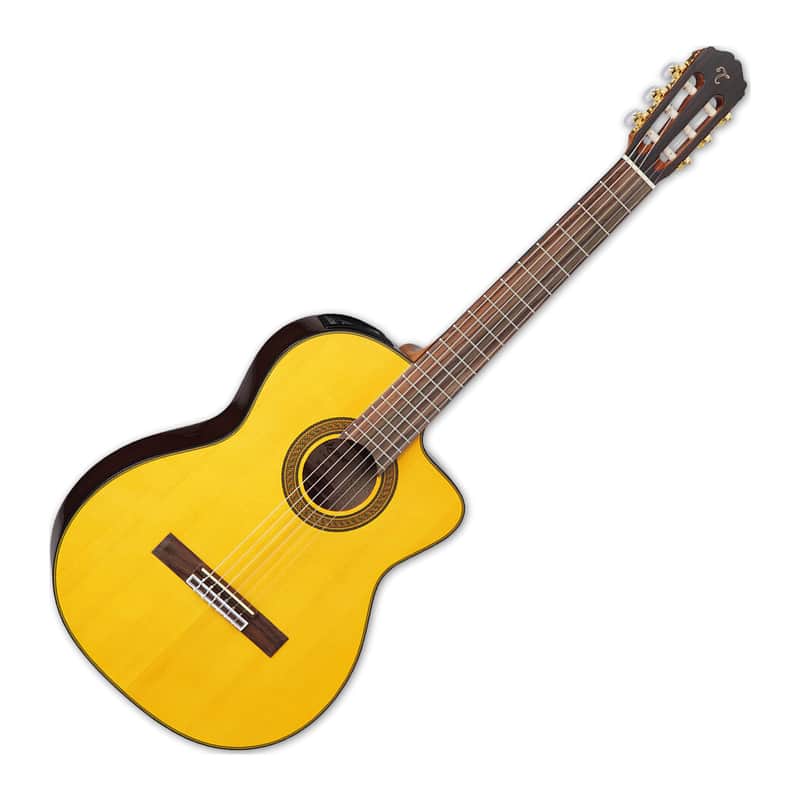 Takamine GC5CE NAT acoustic