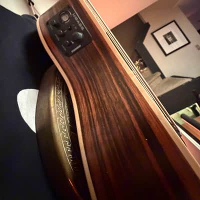 Kala UBASS with Round Wound strings image 6