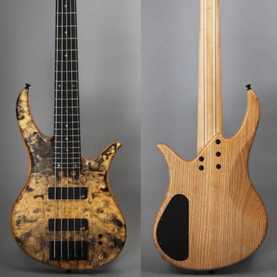 BQW Tavern series 5 string Bass image 1