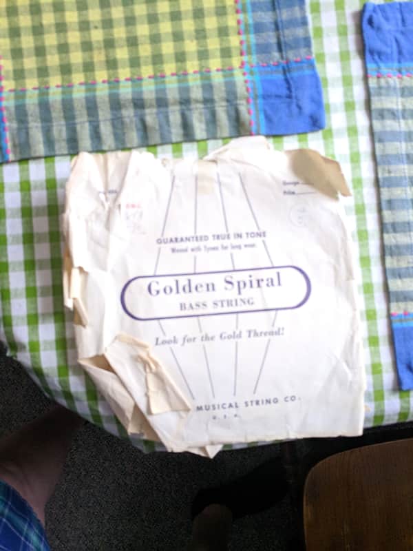 Kaplan Golden Spiral Gut Strings for Double Bass | Reverb