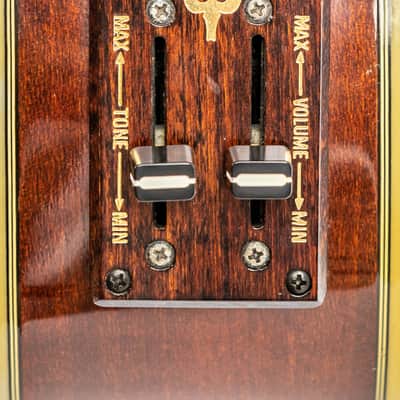 Daion The Year Series '81 Caribou - Brown (BR) - Electric Acoustic Six String image 16