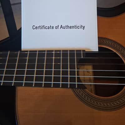 Daniele Chiesa 2021 Classical Guitar - Modern Granada tradition with exceptional depth of sound and expressiveness - check Video! image 18