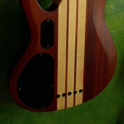 ESP LTD B-5E Neck-thru active 5-string bass (Mahogany top version) image 14